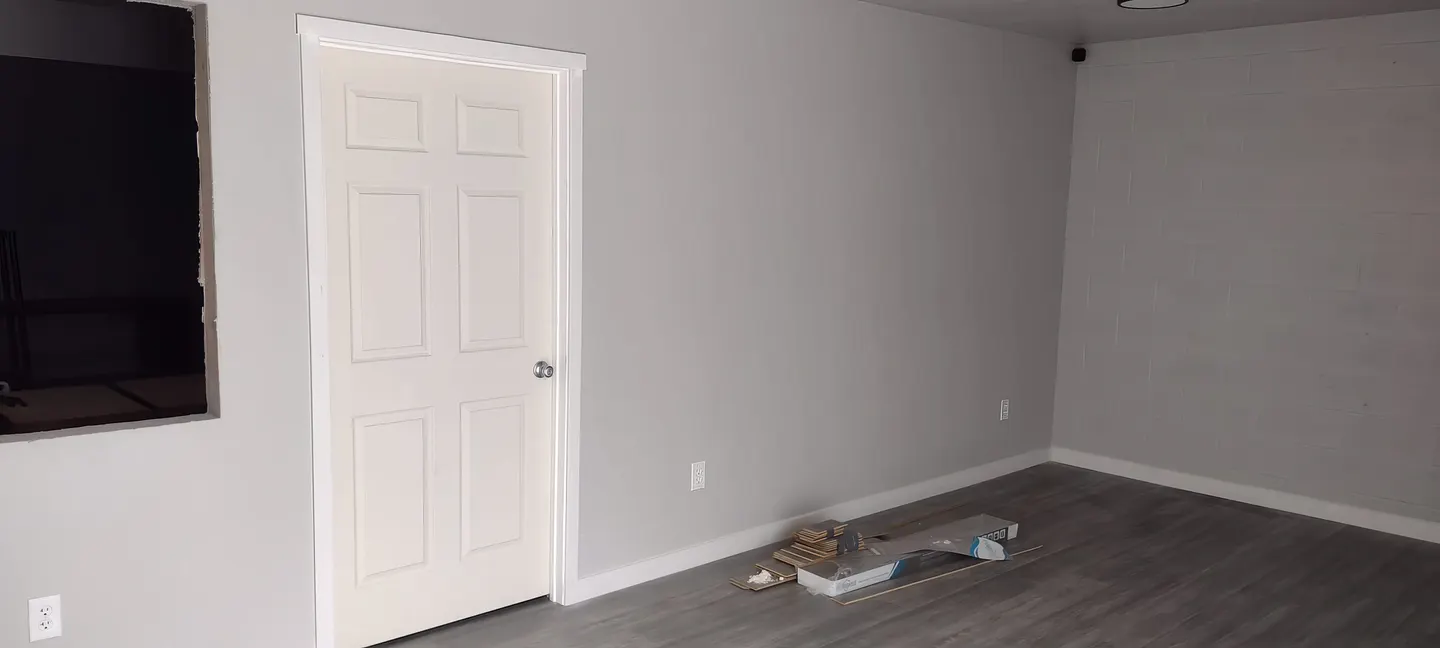 Professional paint and finish application